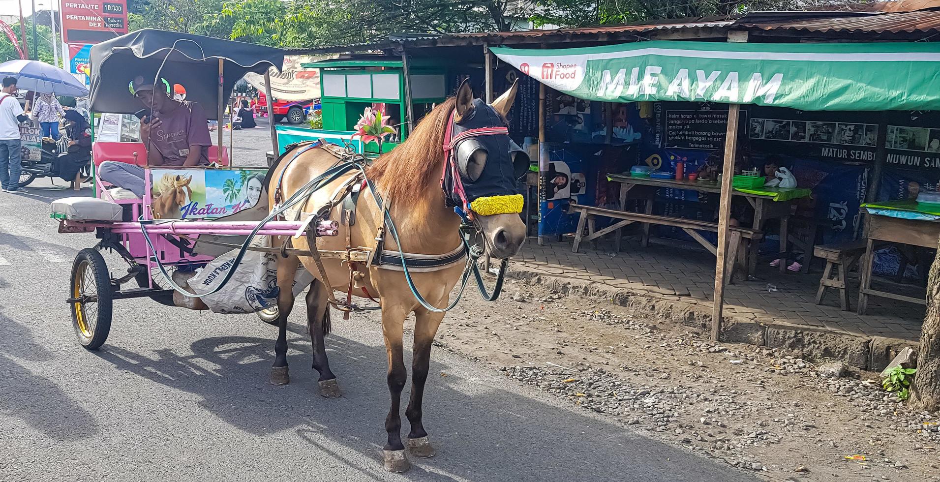 surakarta, Indonésia, janeiro 8, 2023 dokar wisata ou carruagem passeio dentro domingo carro livre dia Surakarta foto