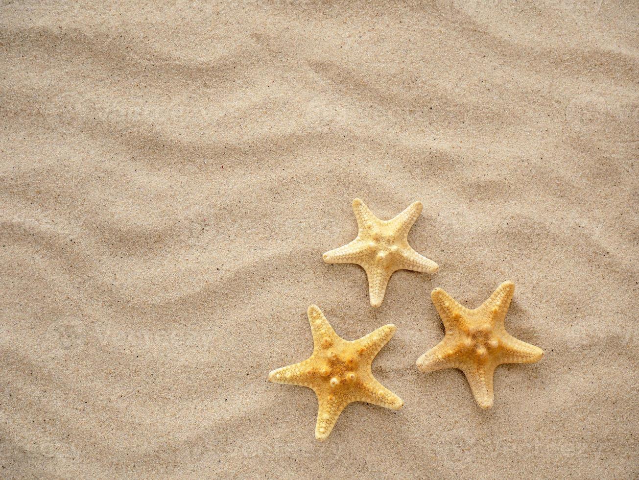 três estrelas do mar estão deitado em a areia. conceito do férias, mar, viagem foto