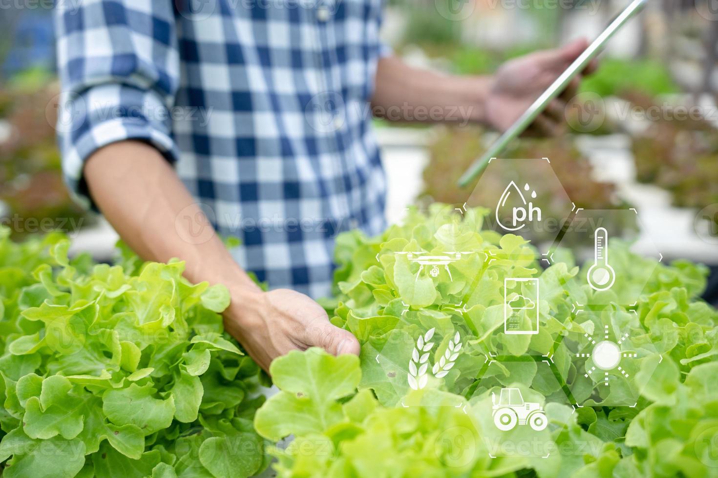 agricultura orgânica, fazenda de salada. os agricultores verificam novamente o registro de qualidade na aplicação em tablet. vegetais hidropônicos crescem naturalmente. jardim com efeito de estufa, biológico ecológico, saudável, vegetariano, ecologia foto