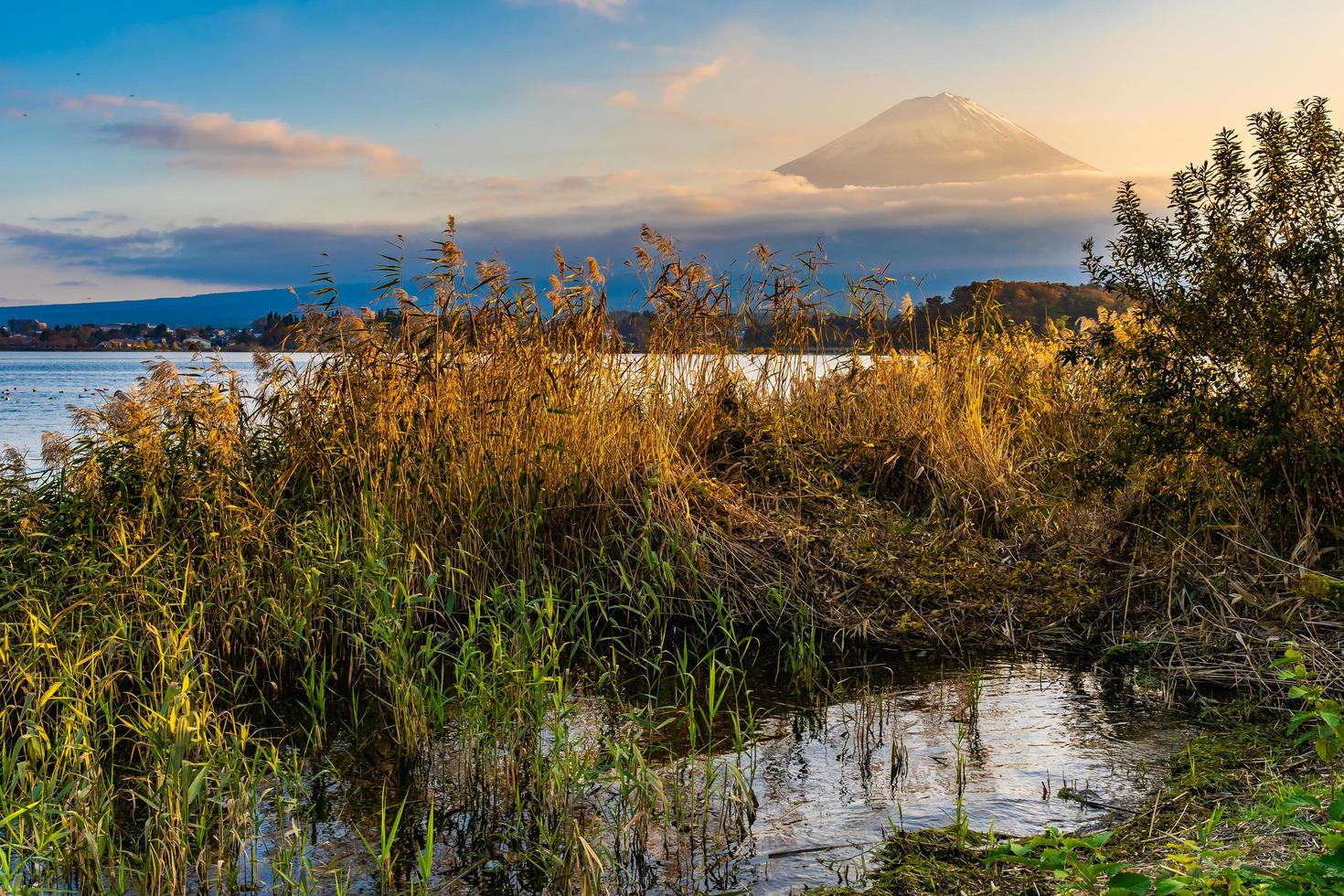 paisagem em mt. fuji, japão foto