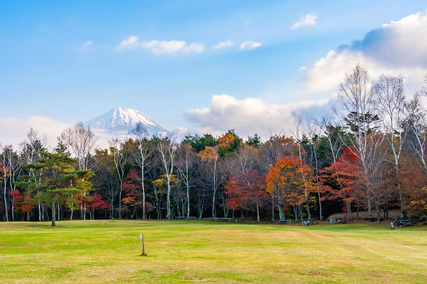 paisagem em mt. fuji, yamanashi, japão foto