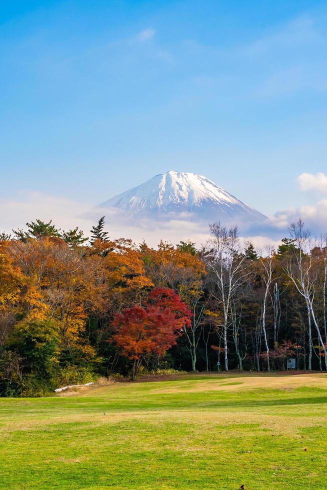 paisagem em mt. fuji, yamanashi, japão foto