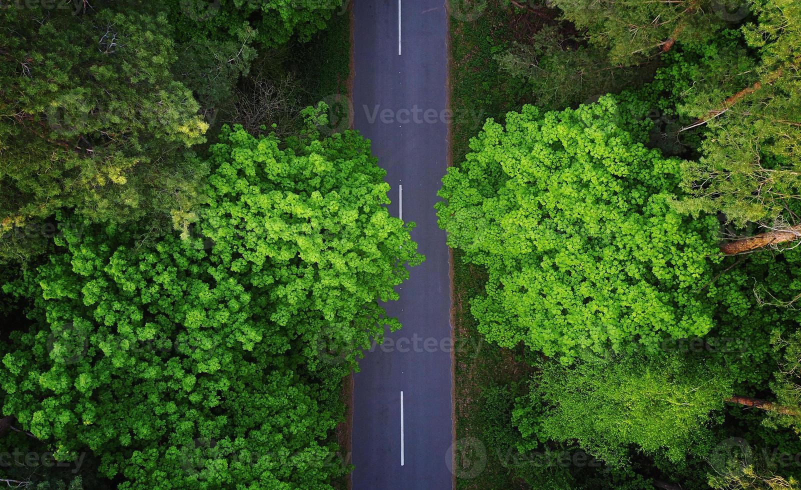 estrada através da floresta, vista aérea foto