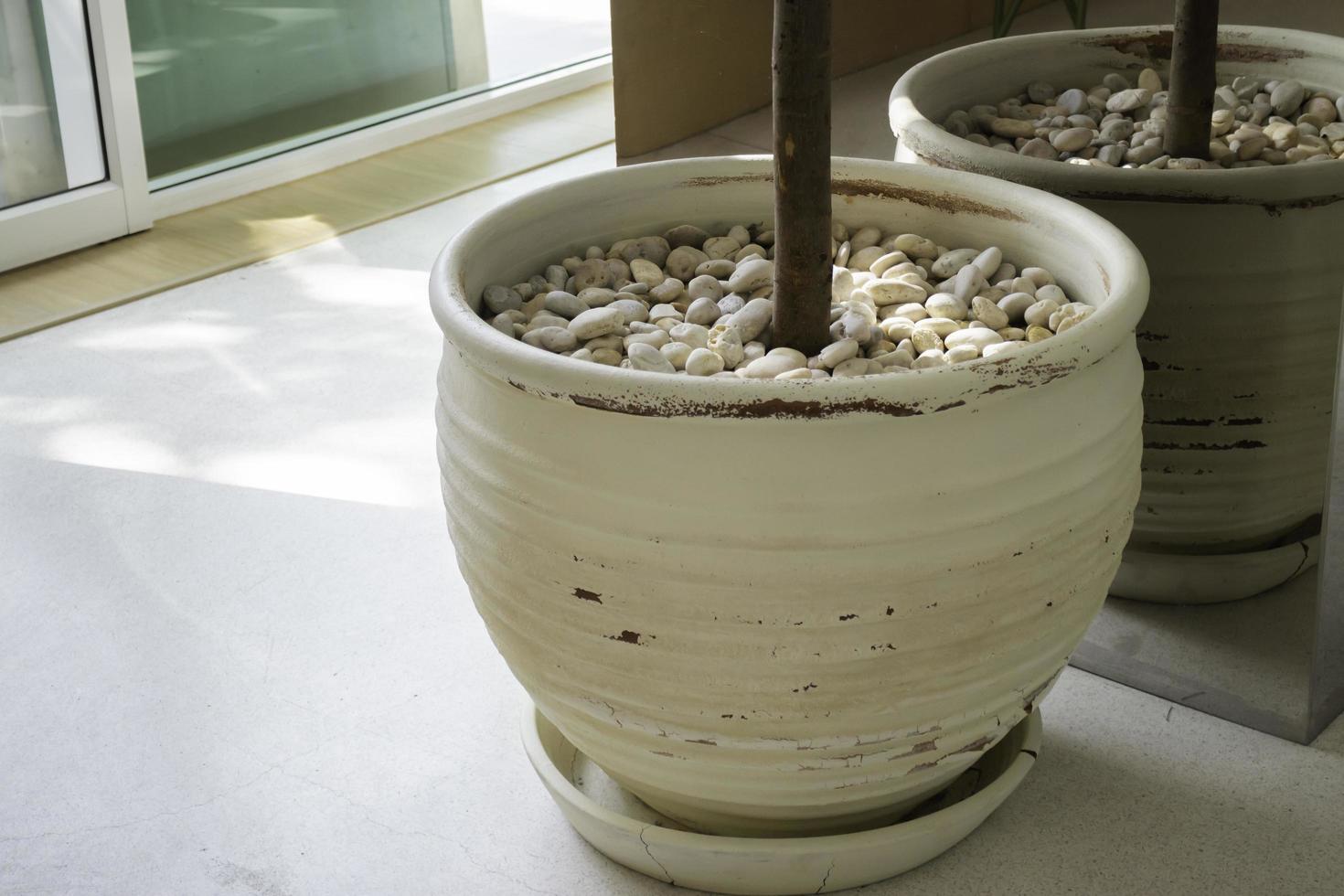 vaso de plantas interno em uma sala iluminada foto