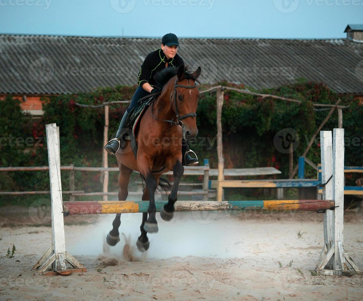 homem equitação a cavalo foto