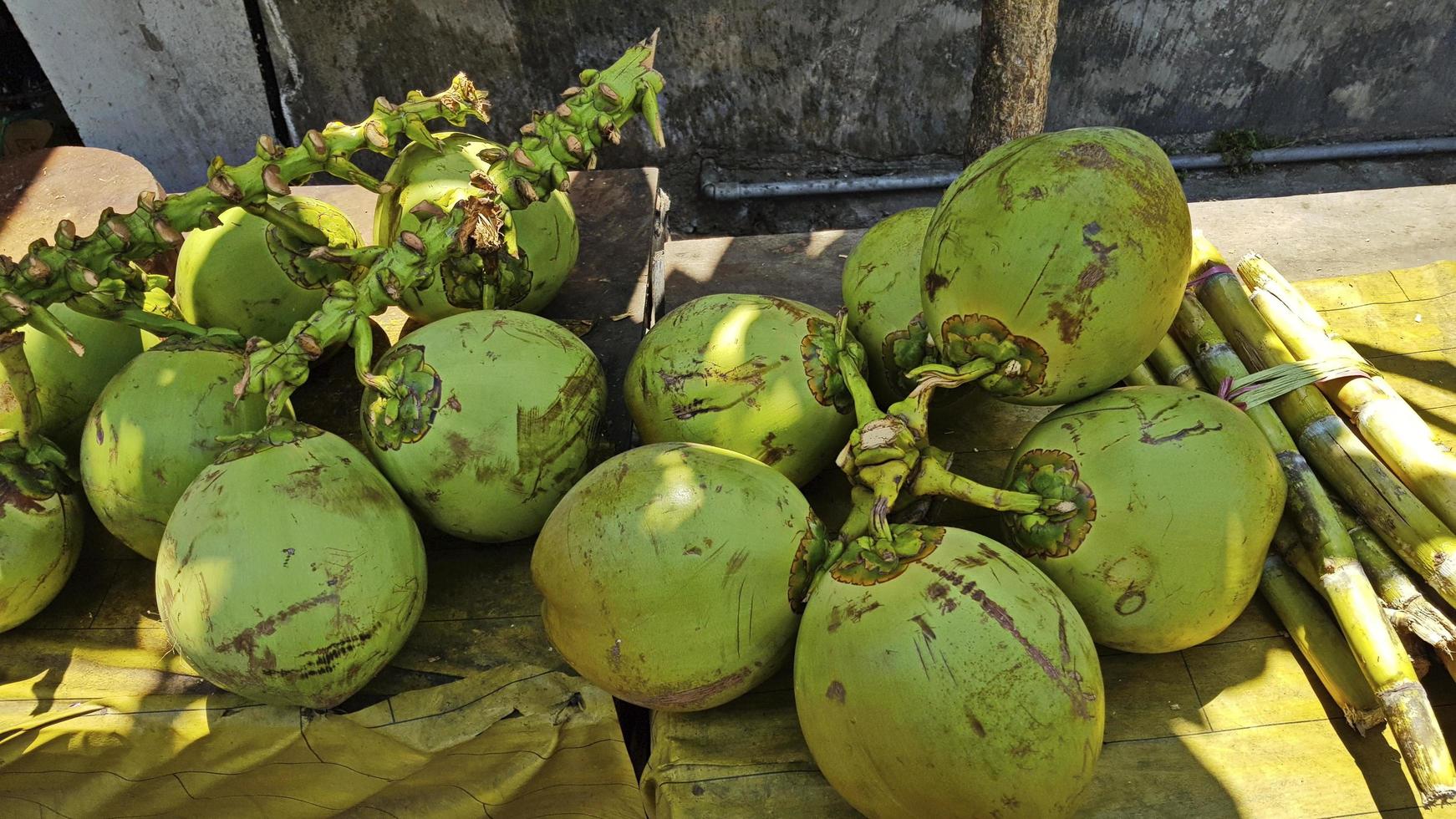 ampla verde cocos cortar a partir de uma árvore mentira em a chão. foto