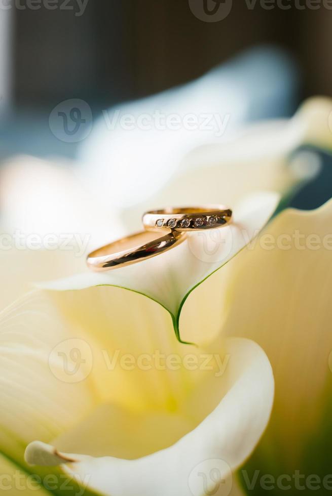 ouro Casamento argolas mentira em a branco pétala do uma calla flor fechar-se foto