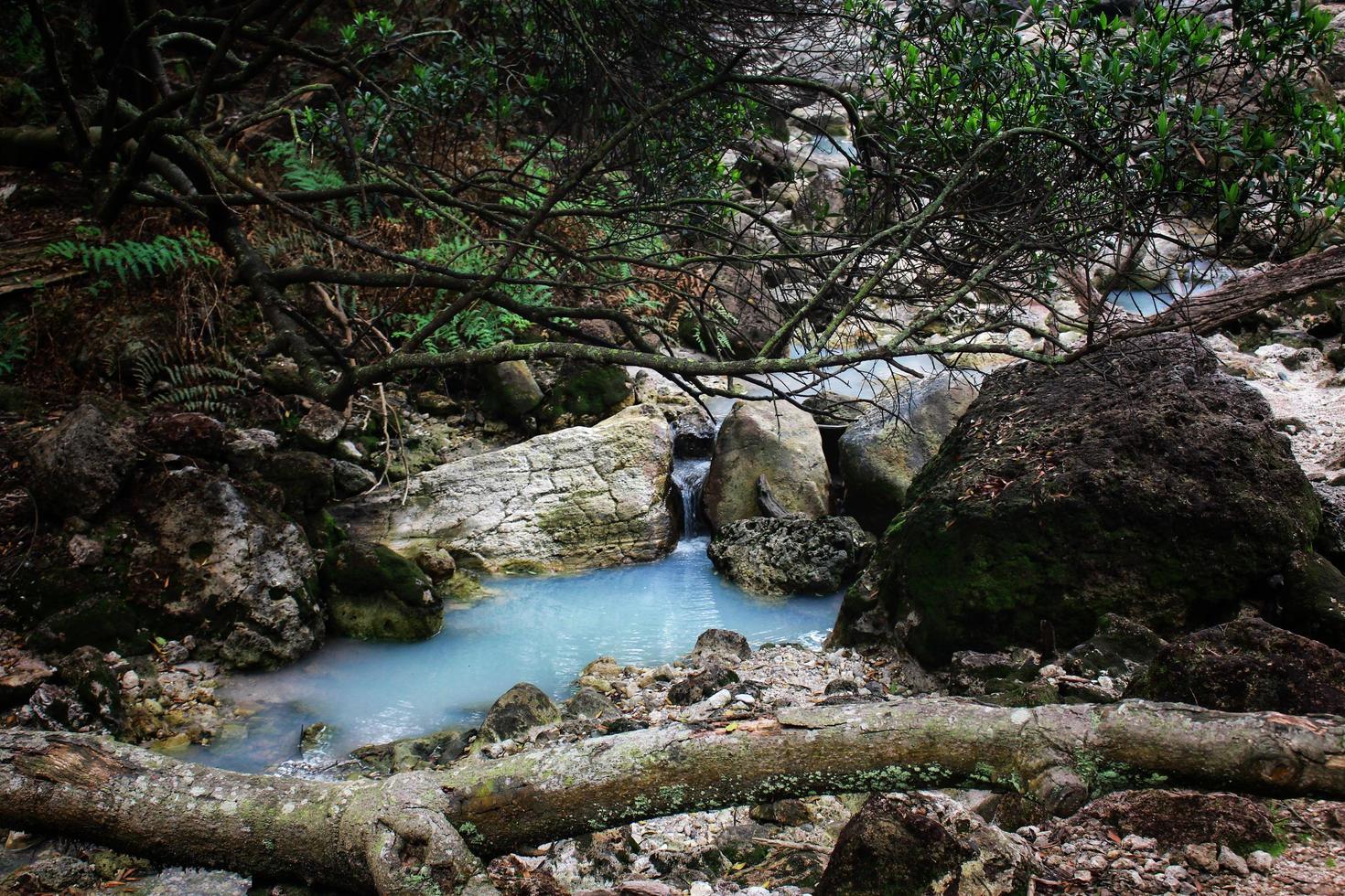 paisagem de floresta com riacho passando por rochas em um pequeno lago foto