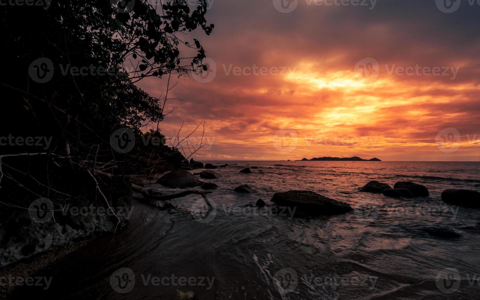 dramático pôr do sol às de praia com uma árvore e pedras foto