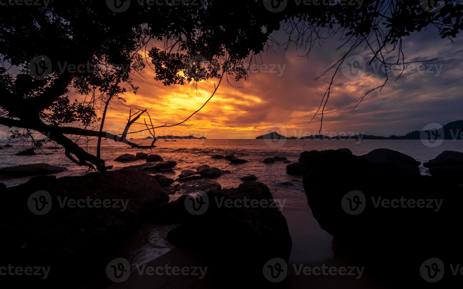 dramático pôr do sol às de praia com uma árvore e pedras foto