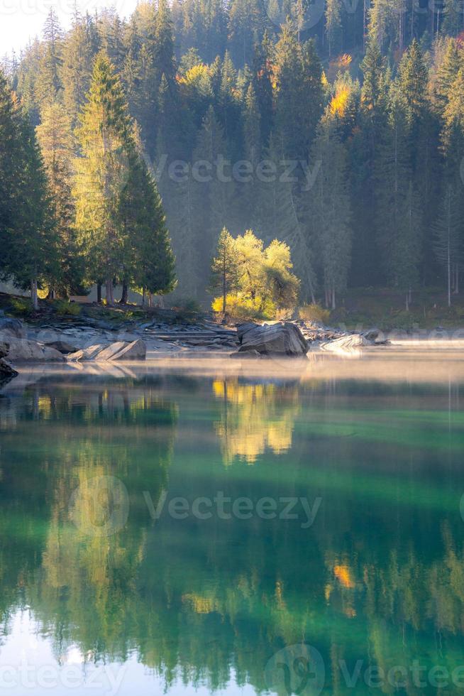 amarelo árvores refletindo dentro uma enevoado lago foto