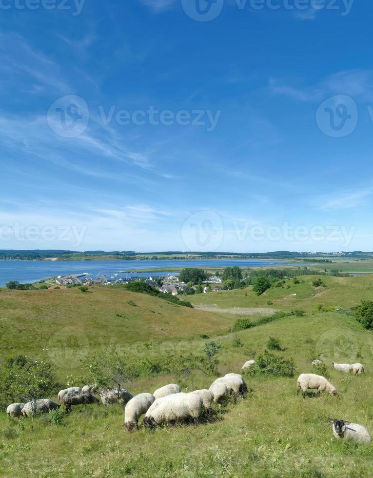 Vila do medidor dentro moenchgut natureza reserva, ruegen, báltico mar, mecklenburg-vorpommern, alemanha foto