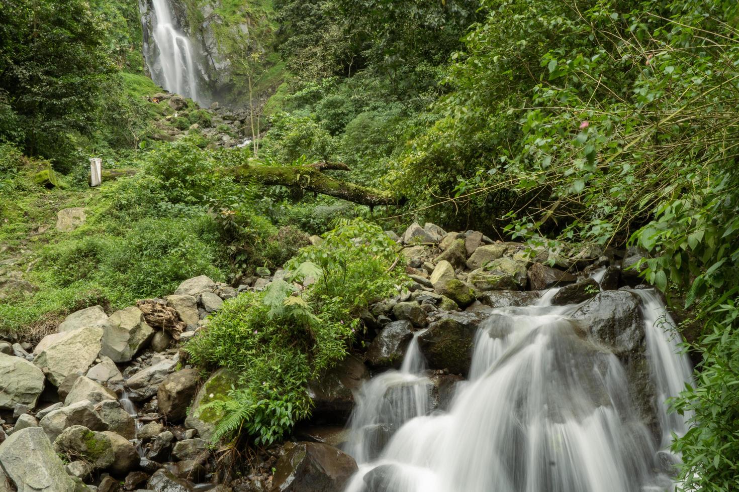 cenário do solteiro água outono em a tropical floresta. a foto é adequado para usar para aventura conteúdo meios de comunicação, natureza poster e floresta fundo.