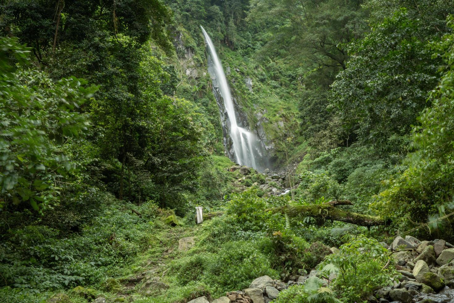 cenário do solteiro água outono em a tropical floresta. a foto é adequado para usar para aventura conteúdo meios de comunicação, natureza poster e floresta fundo.