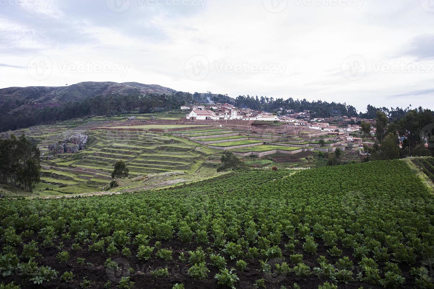 terraços agrícolas em cusco foto