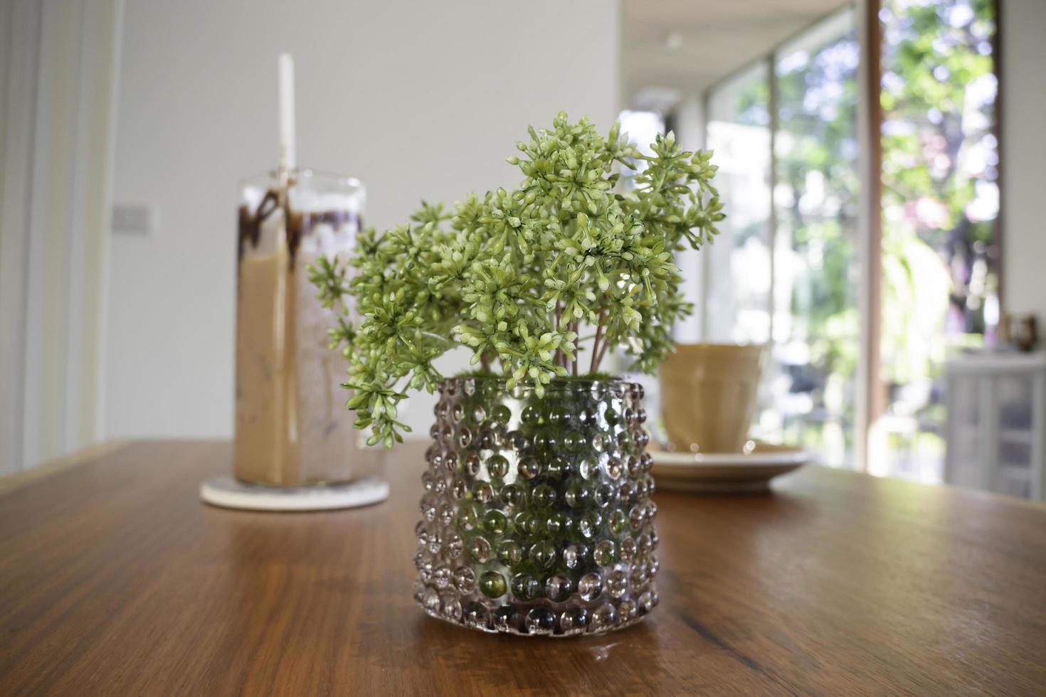 planta em uma mesa de café foto