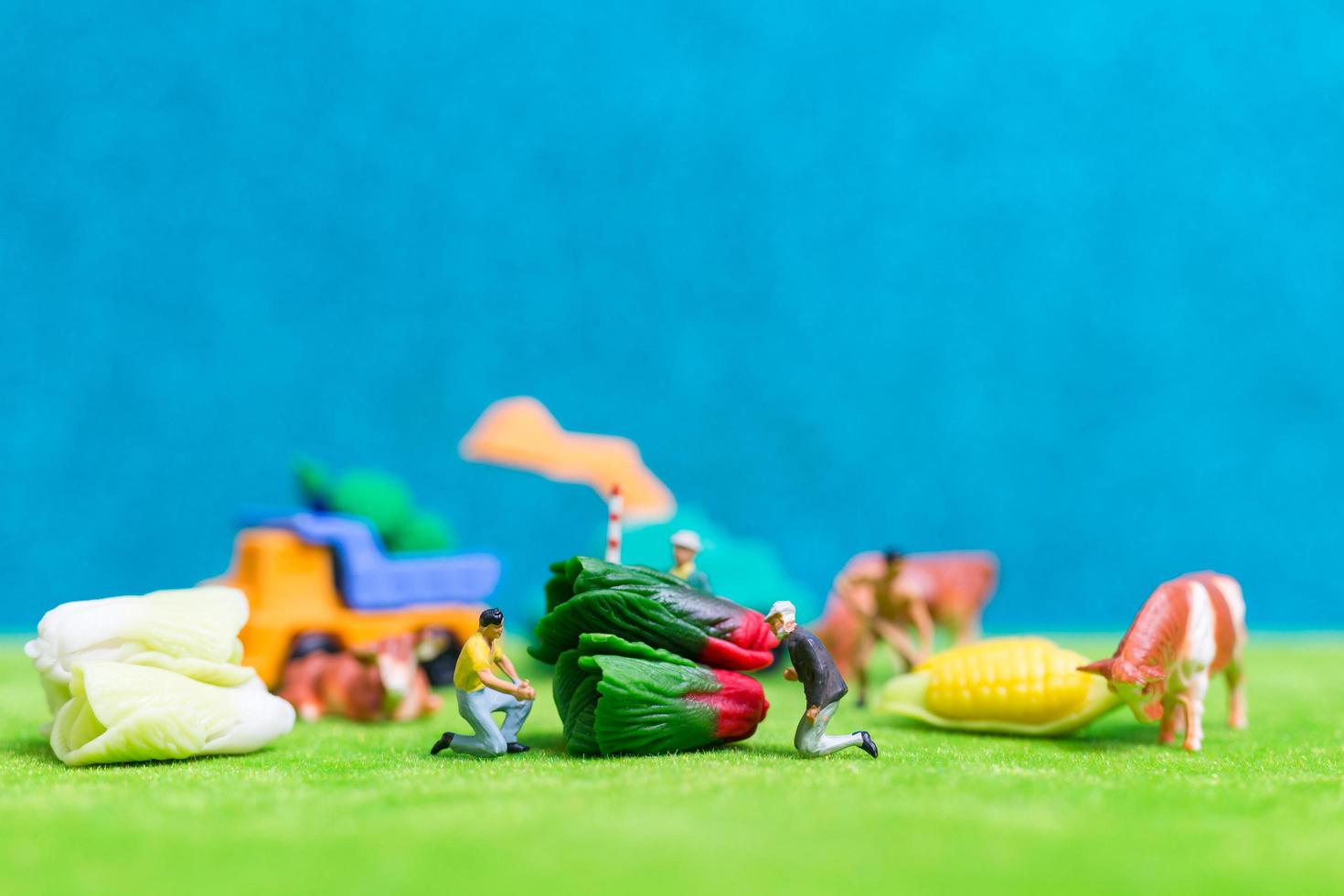 agricultores em miniatura colhendo vegetais, conceito de agricultura foto