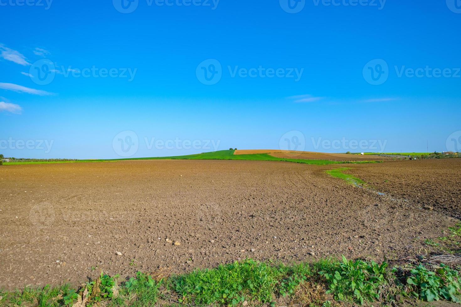 campo preparado para semear foto