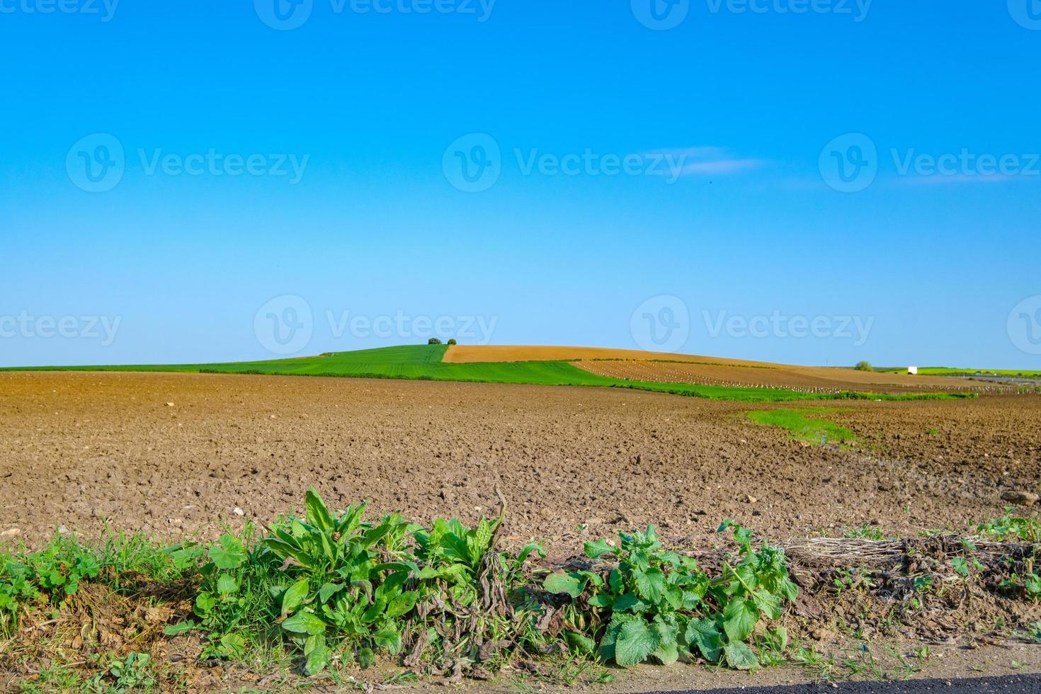 campo preparado para semear com céu azul foto