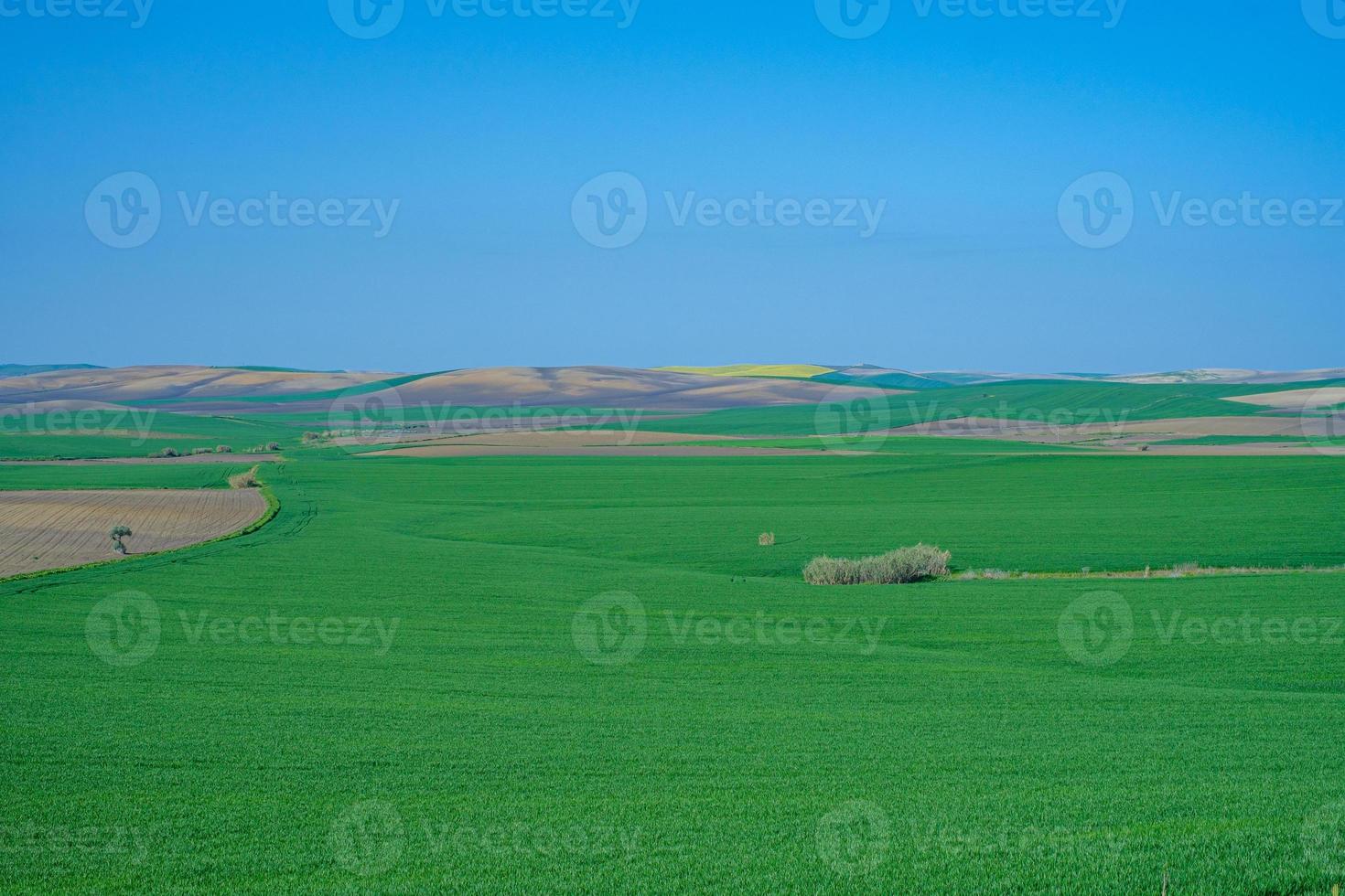 campo verde gramado com colinas foto