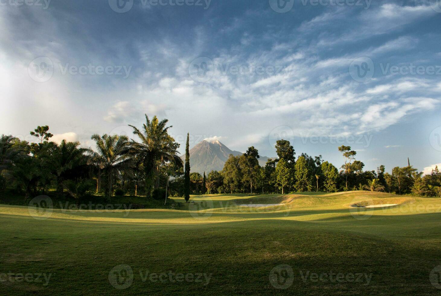 vista panorâmica de uma floresta com grande montanha e árvores foto