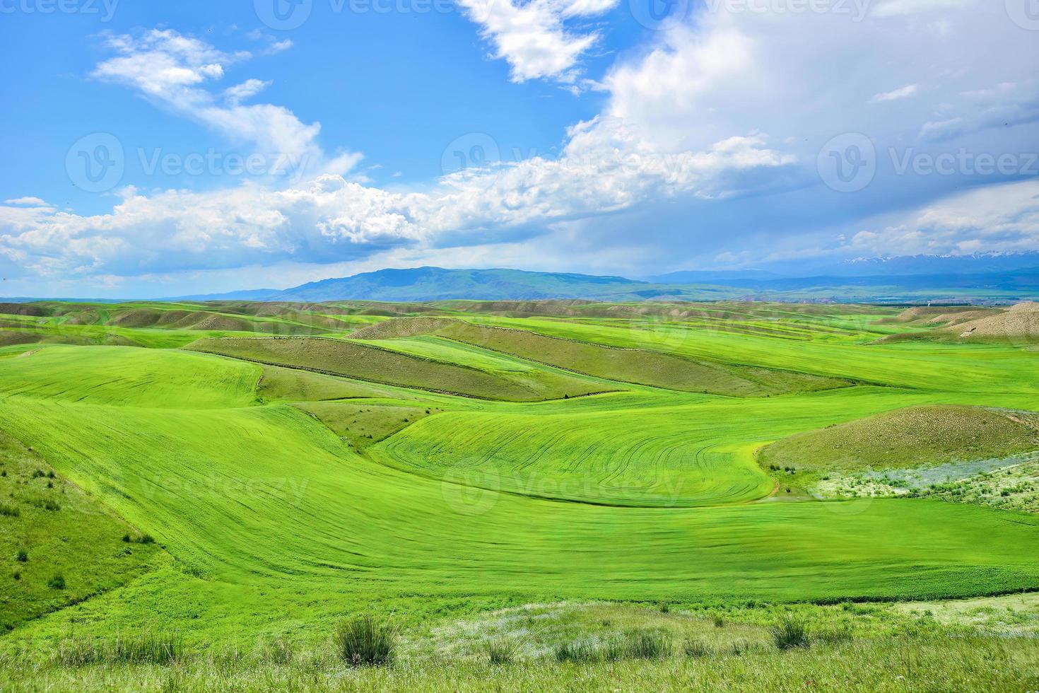 a lindo cenário ao longo a caminho para qiongkushtai dentro Xinjiang foto