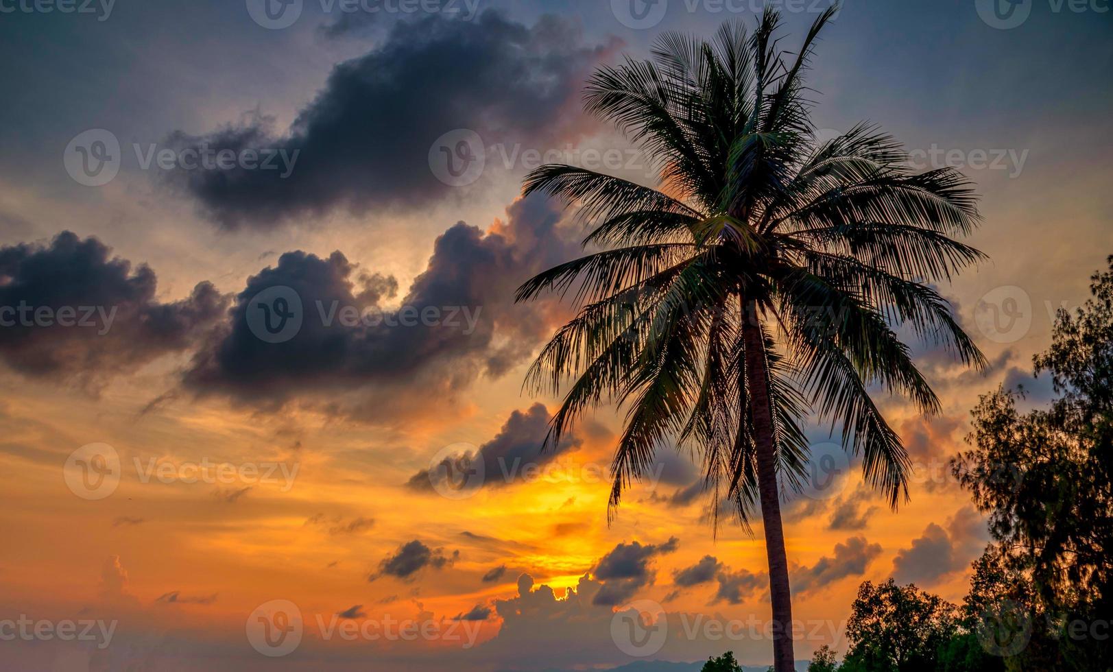 silhueta coqueiros na praia ao pôr do sol. tom vintage. foto