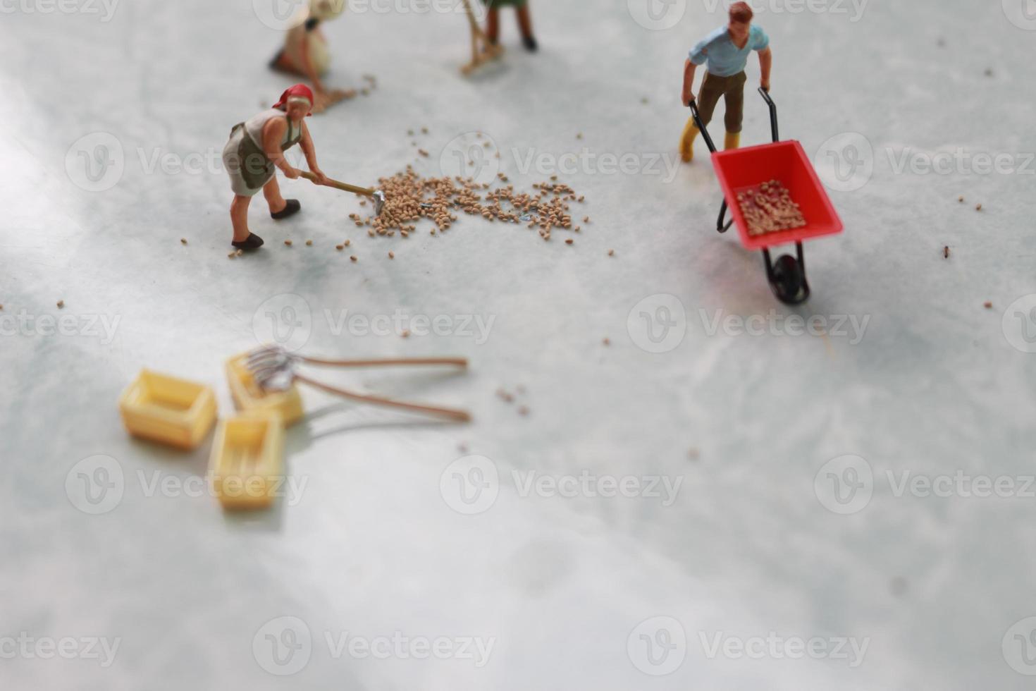 miniatura figuras do trabalhadores trabalhando juntos para mover grão. foto