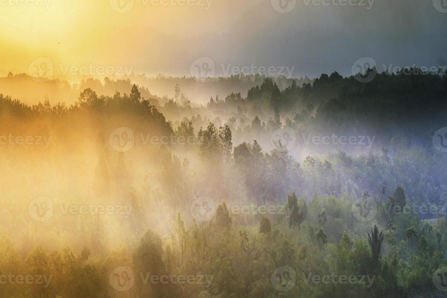 lindo manhã Visão Indonésia. panorama panorama arroz Campos com beleza cor e céu natural luz foto