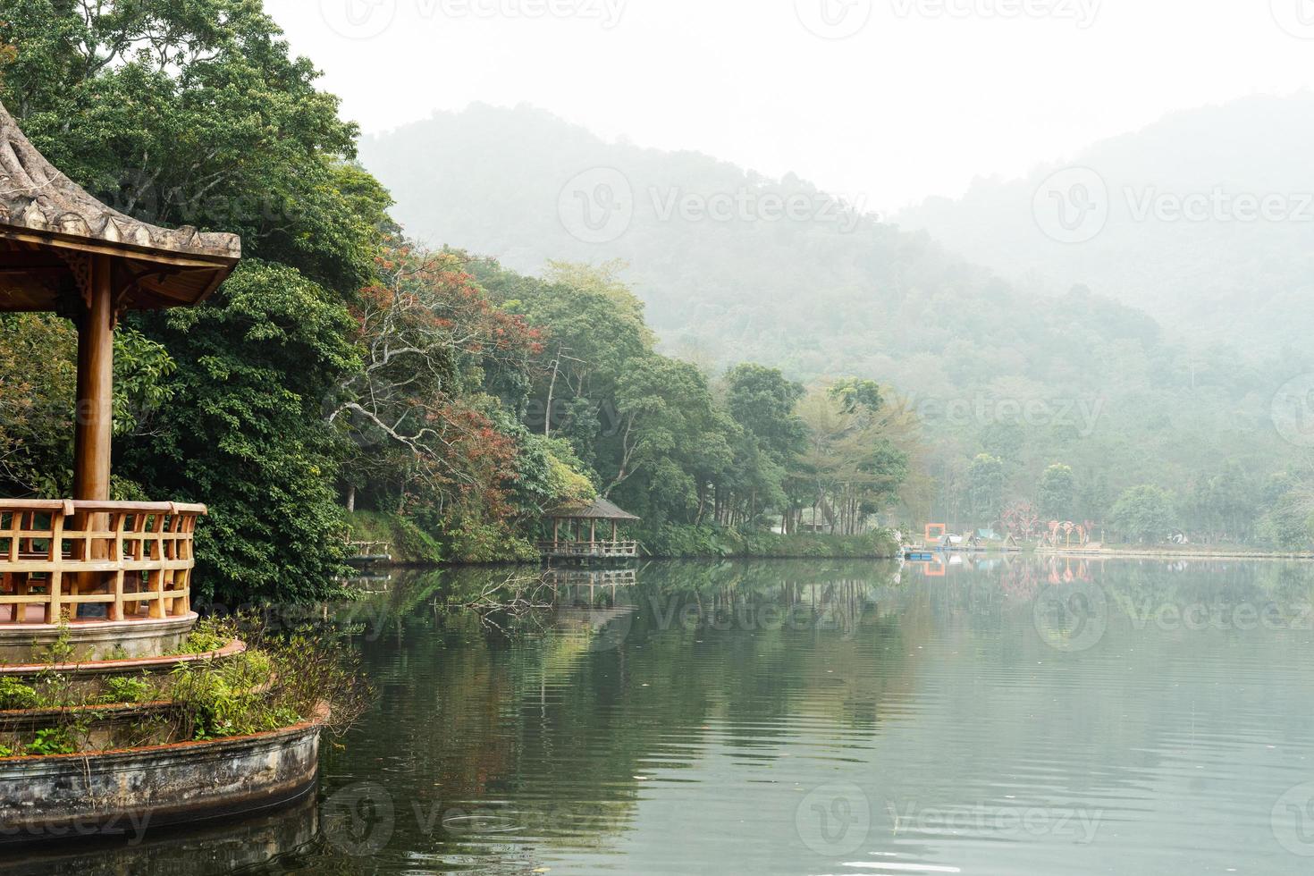 a imagem do a floresta de a lago foto