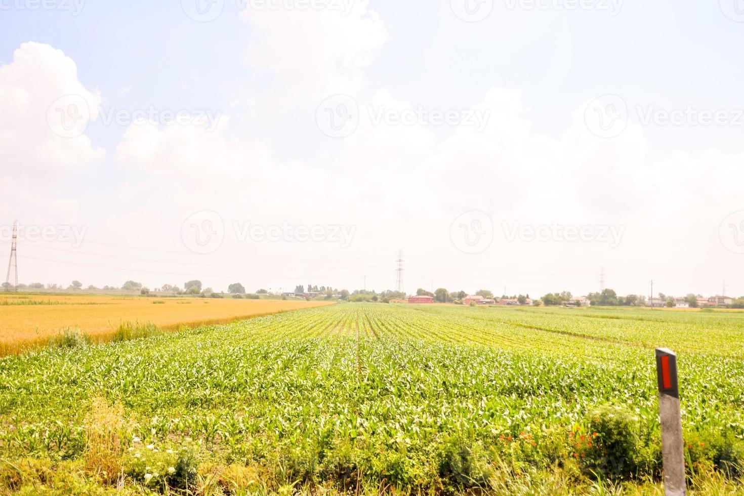 cênico rural panorama foto