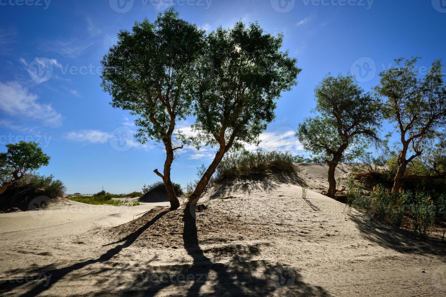 explorar a Vila do lop nur pessoas dentro Xinjiang foto