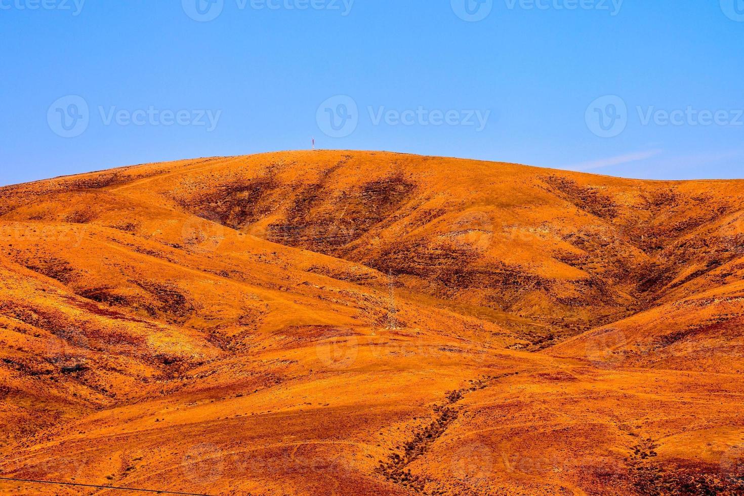 cênico rural panorama foto