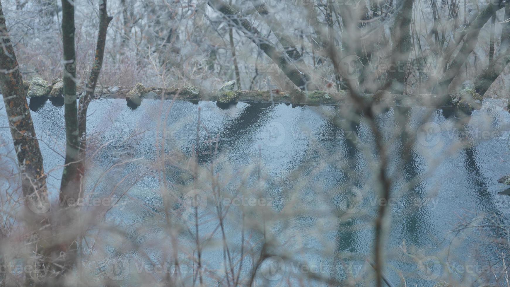 a lindo congeladas montanhas Visão coberto de a branco neve e gelo dentro inverno foto