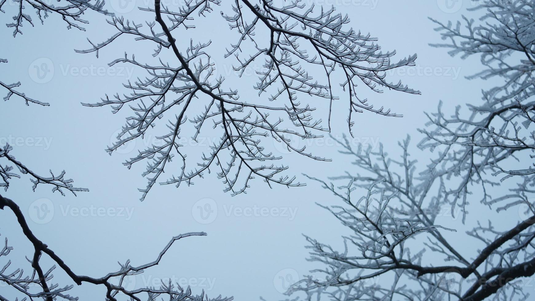 a lindo congeladas montanhas Visão coberto de a branco neve e gelo dentro inverno foto