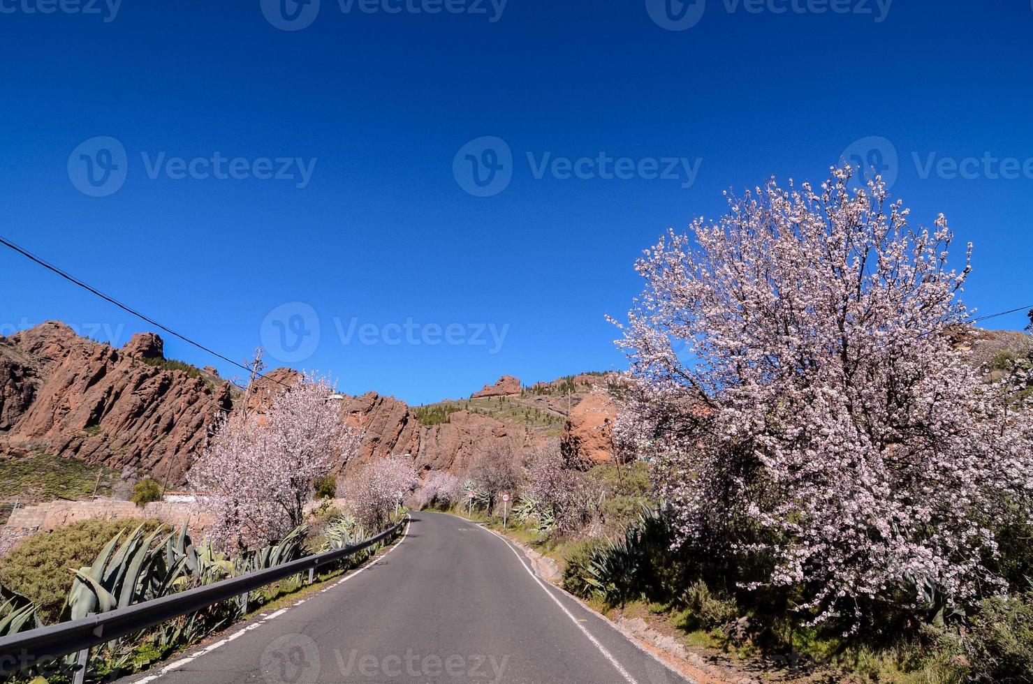 estrada através a cênico panorama foto