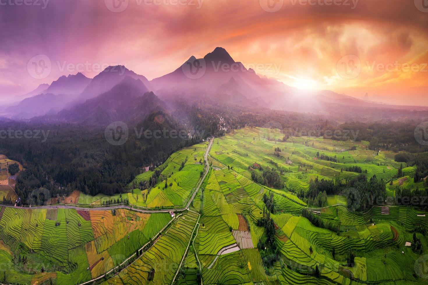 lindo manhã Visão Indonésia. panorama panorama arroz Campos com beleza cor e céu natural luz foto