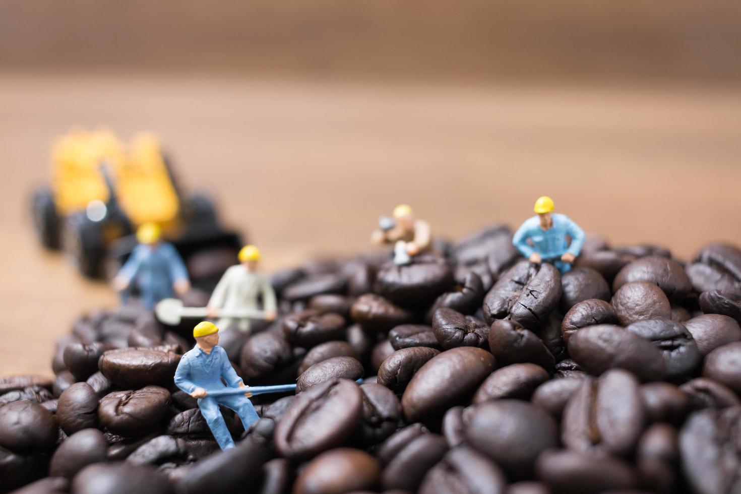 pessoas em miniatura trabalhando em grãos de café torrados foto