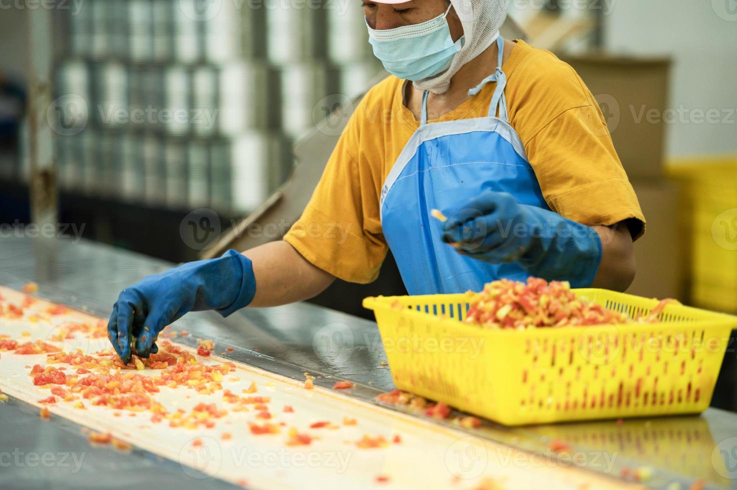 trabalhadores cortar tomates para enlatado tomate molho dentro industrial Produção padrões, industrial Produção do tomates e tomate colar, Comida indústria, Comida fábrica foto