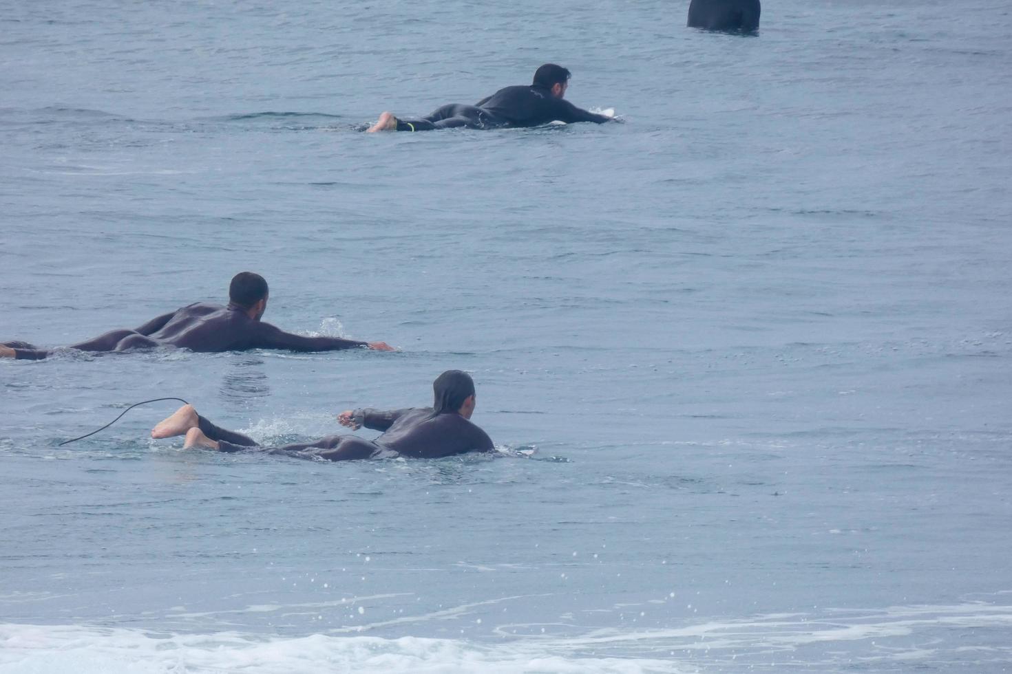 surfar escola em a oceano de praia foto