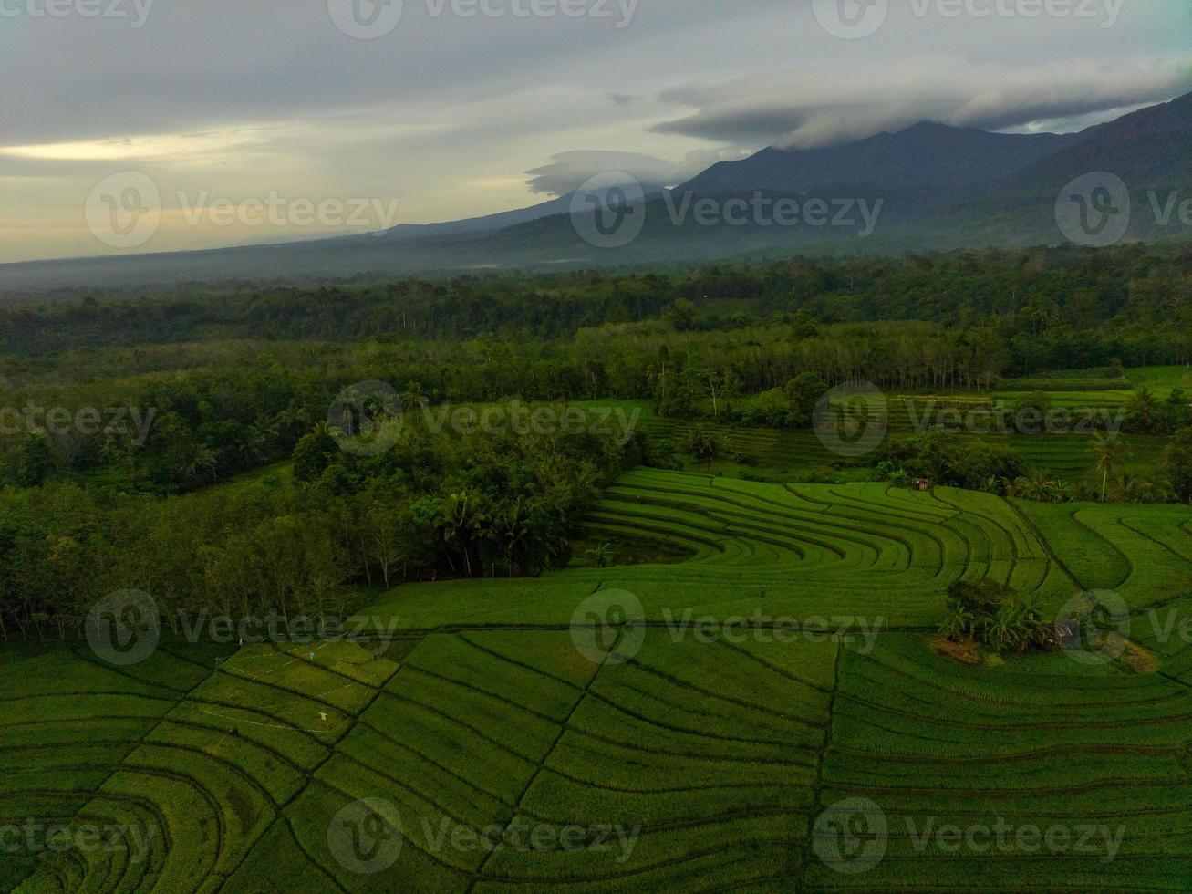 aéreo Visão do verde arroz terraços dentro Indonésia foto