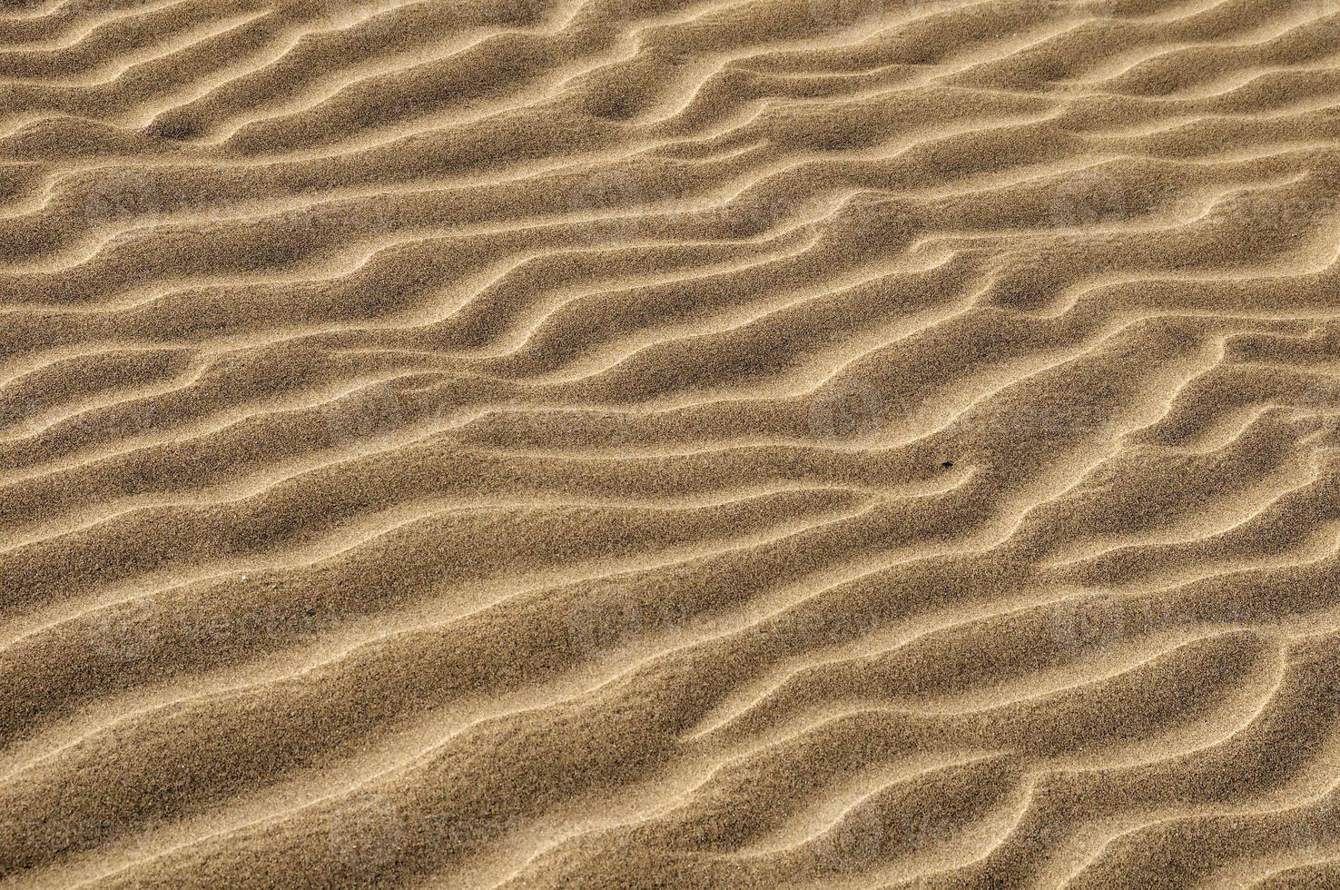 areia no deserto foto