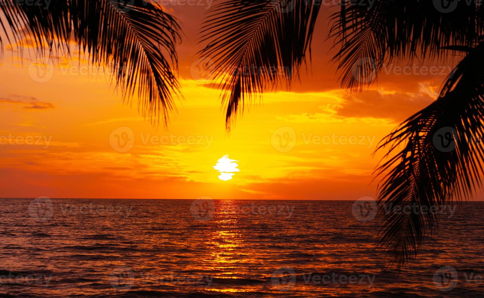 bela praia tropical do sol com palmeira e céu azul para viagens e férias no tempo de relaxamento de férias foto