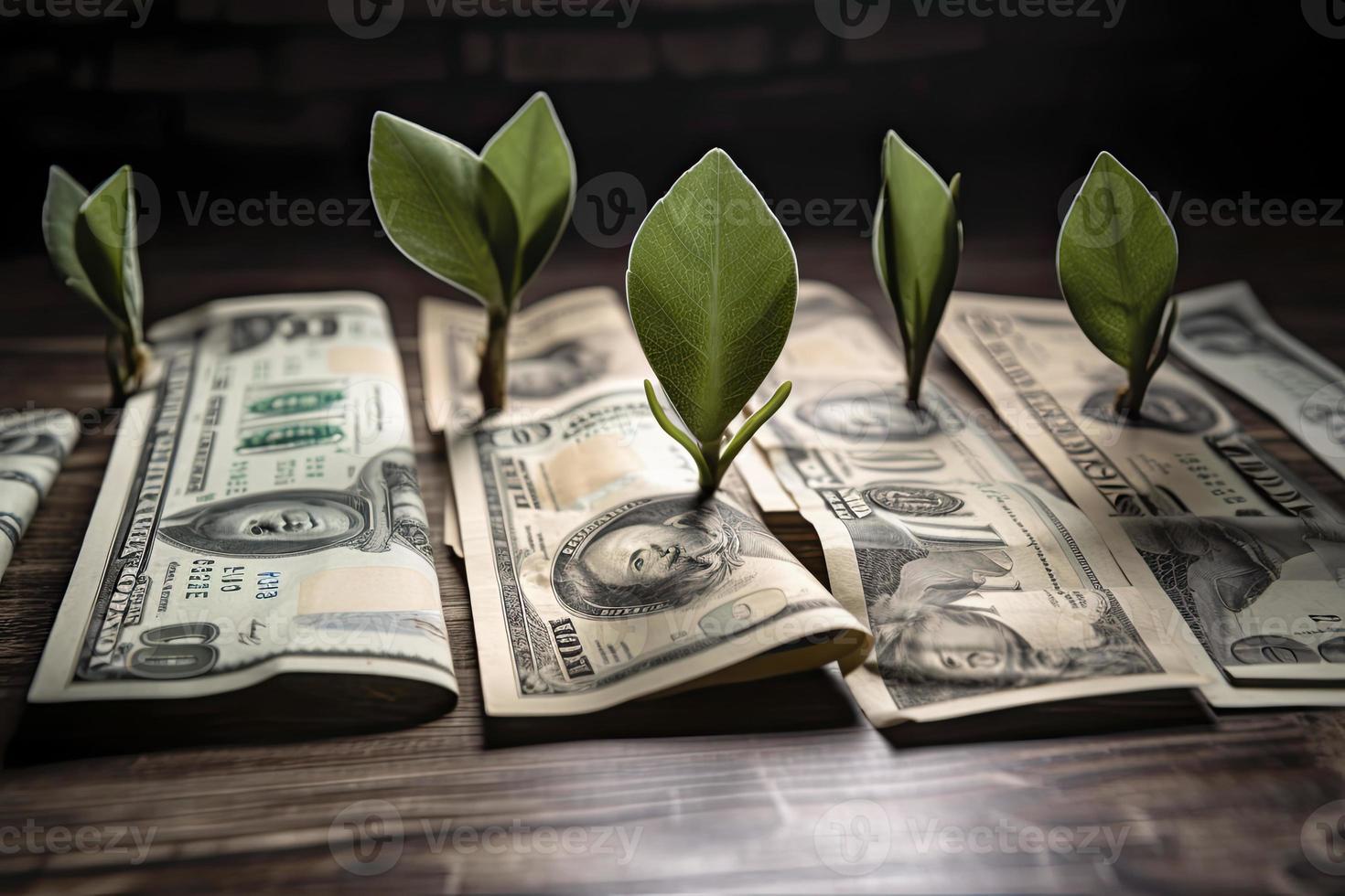 dólar plantinha - crescimento conceito - plantas em notas dentro aumentar foto