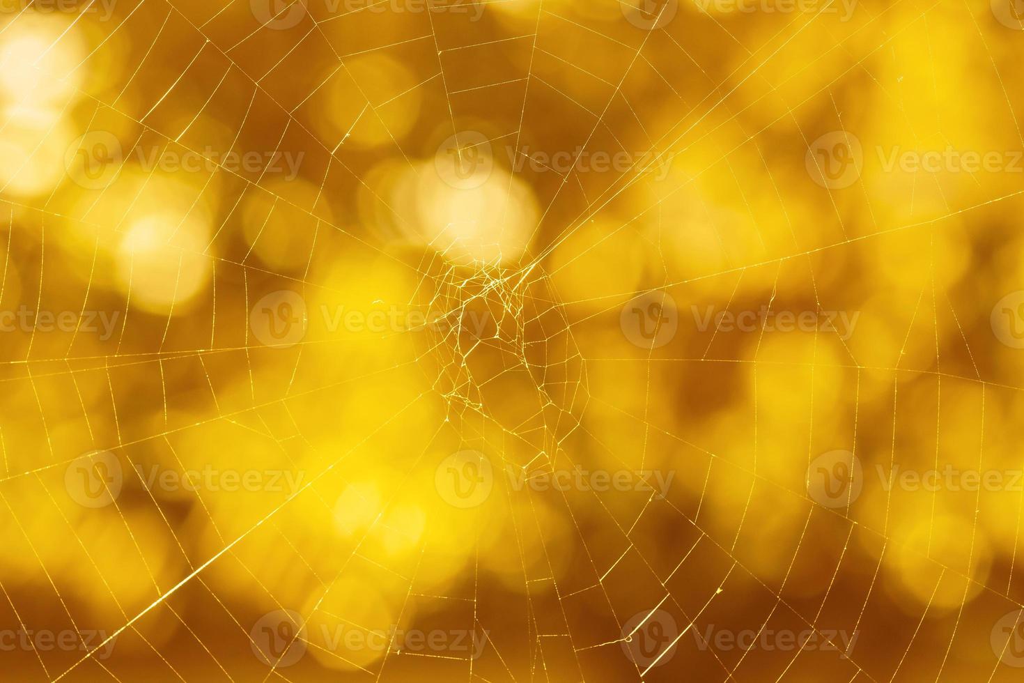 dia das Bruxas fundo, fechar acima do teia de aranha contra bokeh foto