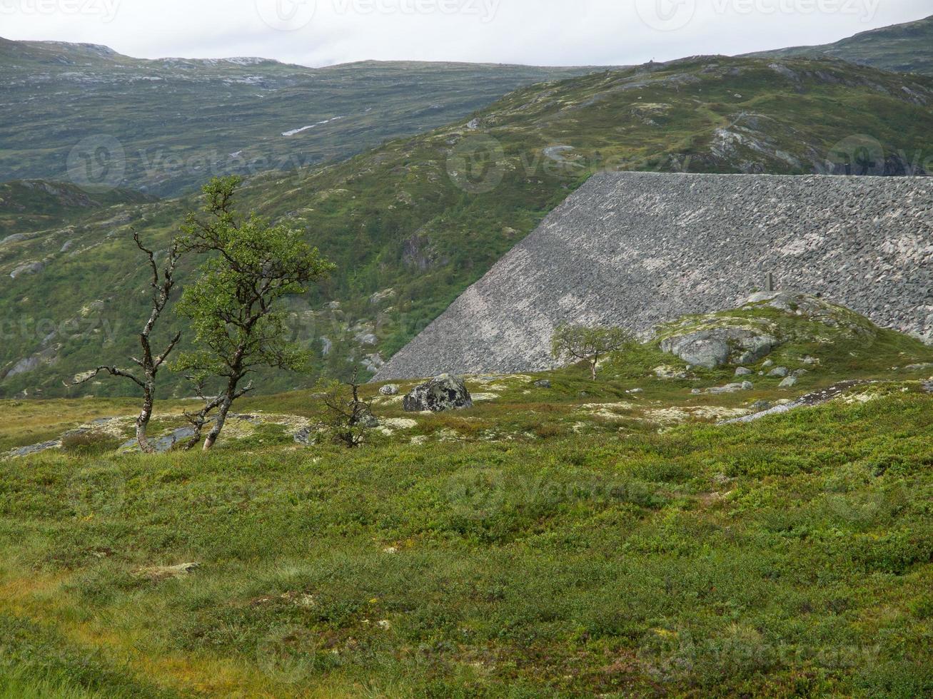 cruzeiro nos fiordes da noruega foto