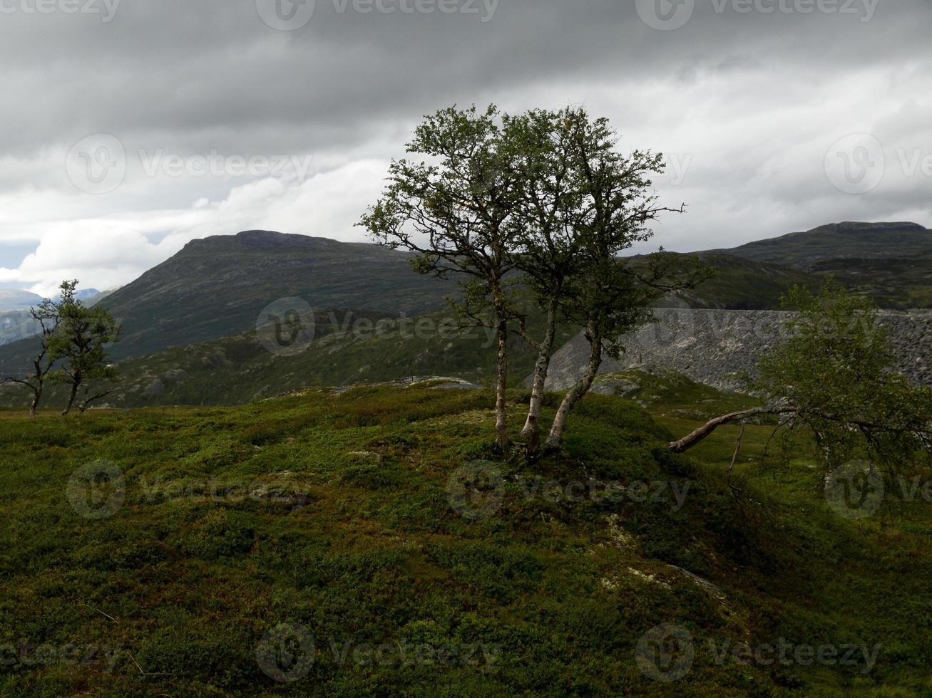 cruzeiro nos fiordes da noruega foto