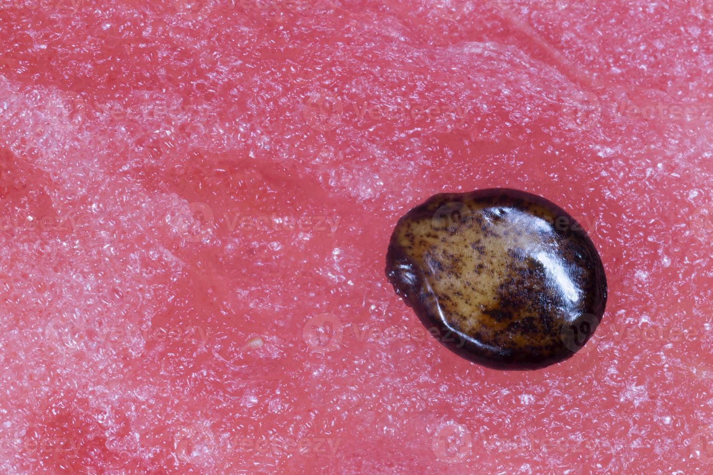 semente em polpa do maduro vermelho Melancia foto