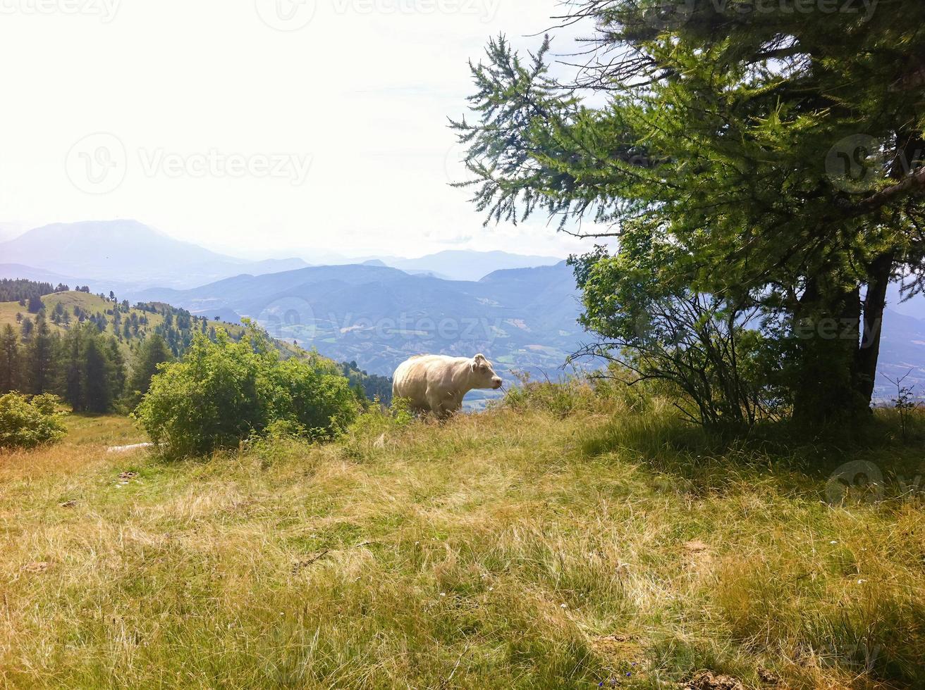 francês Alpes cenário foto