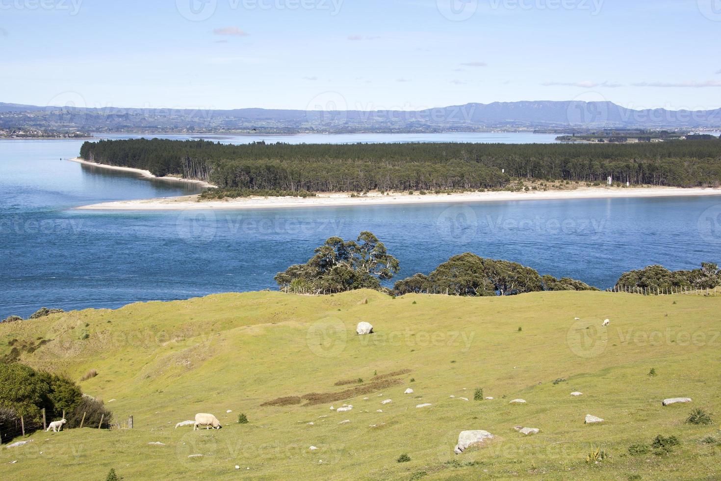 montar maunganui rural panorama e matakana ilha foto